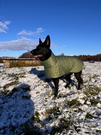 Alyvuogių spalvos KENZOO striukė šuniui