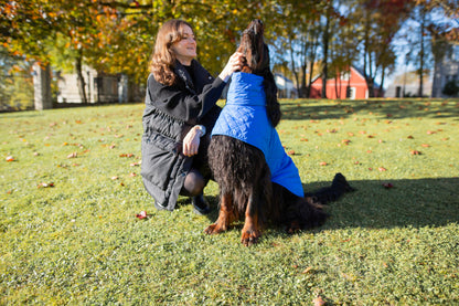 KENZOO blue light jacket for dog