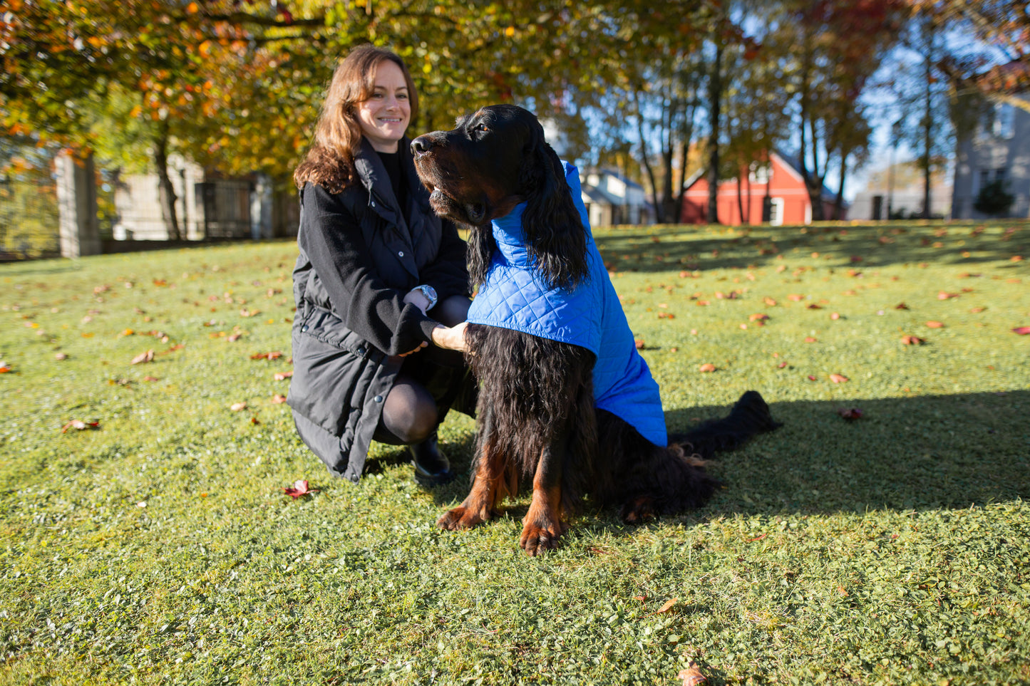 KENZOO blue light jacket for dog