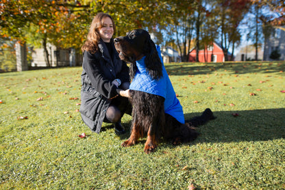 KENZOO blue light jacket for dog
