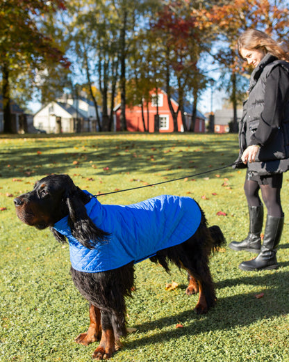 KENZOO blue light jacket for dog