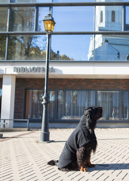 Ylellinen KENZOO-villatakki koiralle
