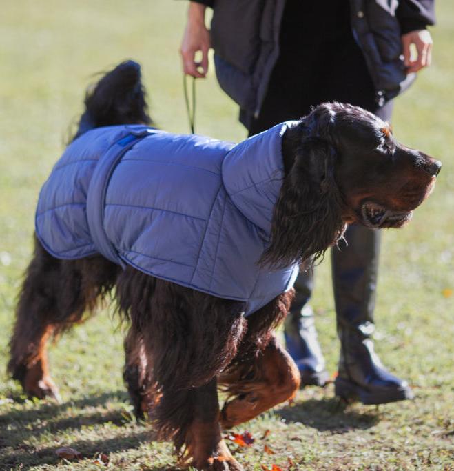 KENZOO dark blue warm jacket with belt