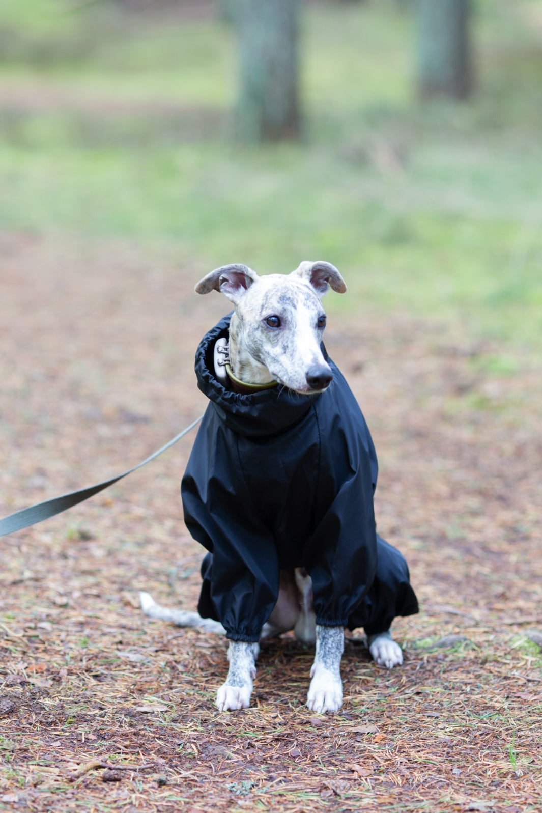 KENZOO waterproof fleece warm dog overalls