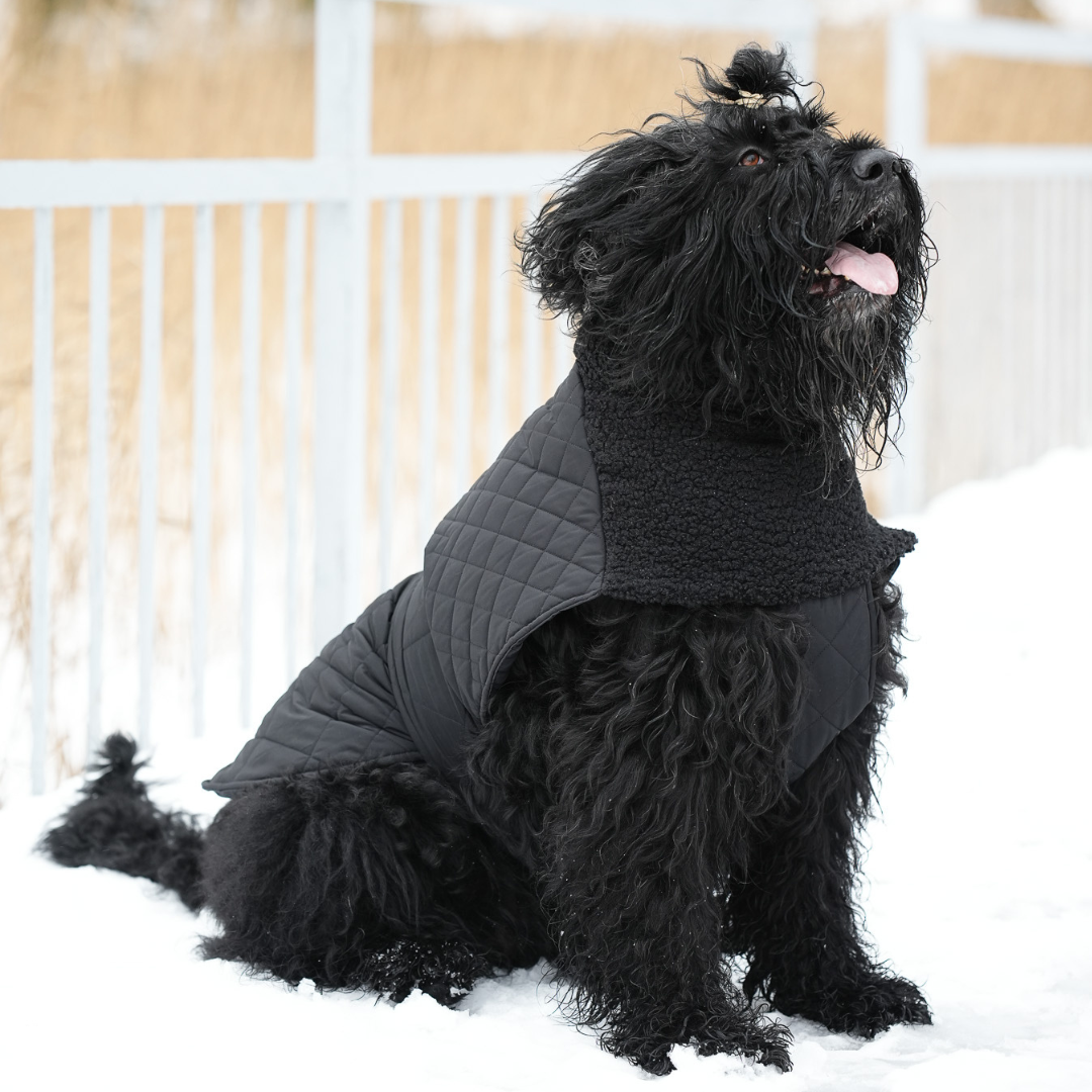 KENZOO black jacket with astrakhan fur