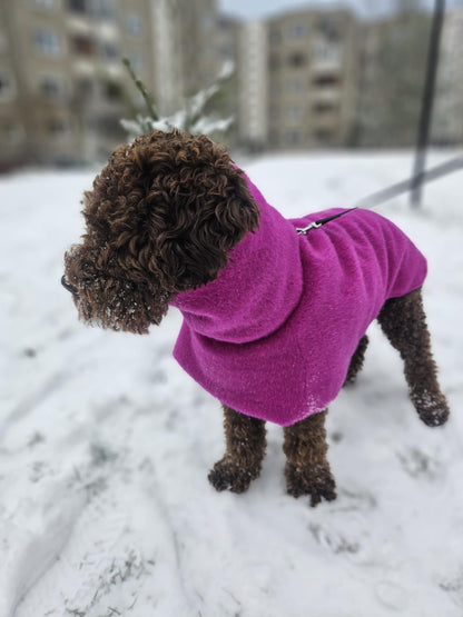 Ylellinen KENZOO-villatakki koiralle