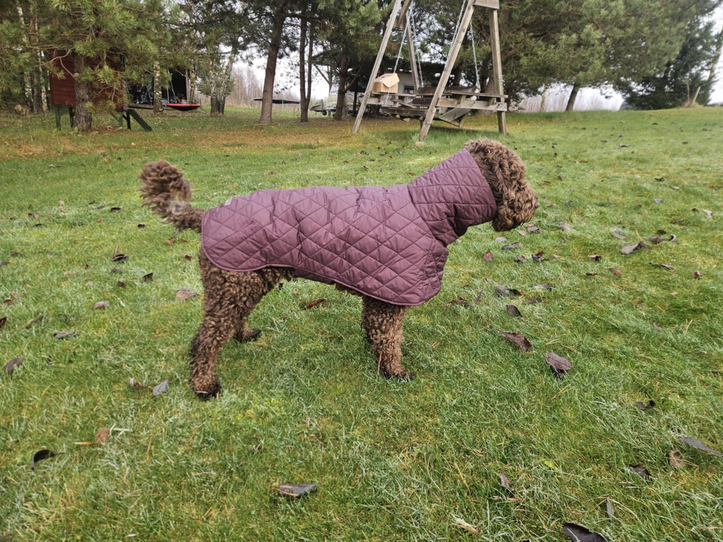 Raudono vyno spalvos KENZOO striukė šuniui