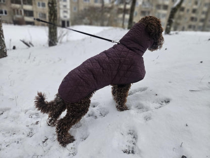 Raudono vyno spalvos KENZOO striukė šuniui