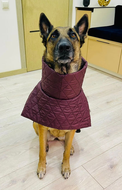 Raudono vyno spalvos KENZOO striukė šuniui