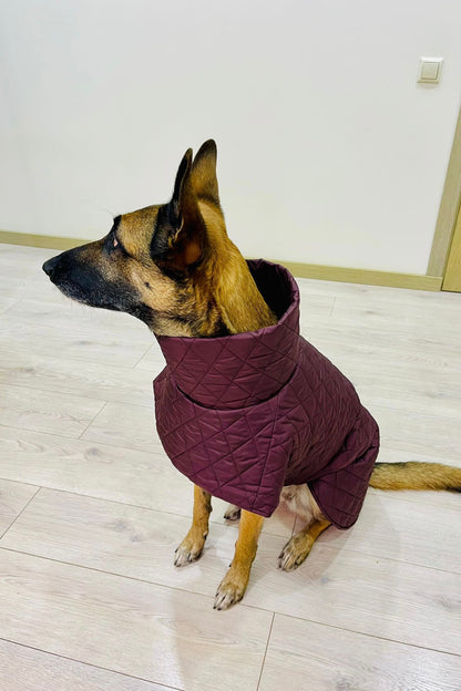 Raudono vyno spalvos KENZOO striukė šuniui