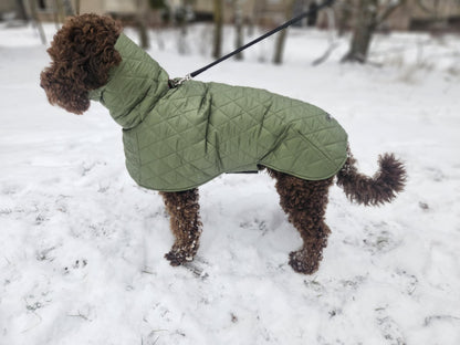 Alyvuogių spalvos KENZOO striukė šuniui