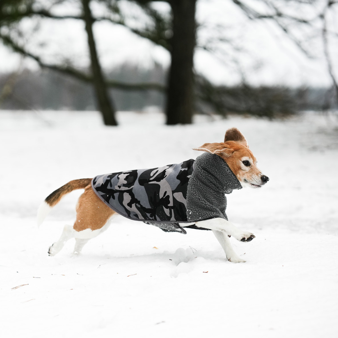 KENZOO camouflage coat for dog