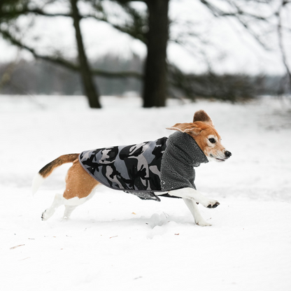 KENZOO camouflage coat for dog