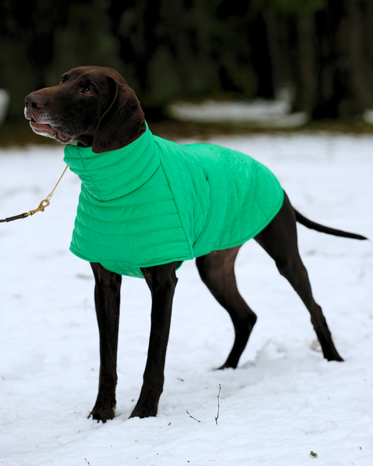 KENZOO jacket for dog. Pink, green, yellow